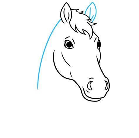 How To Draw A Horse Head Really Easy Drawing Tutorial