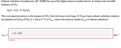 Solved Carbonic Anhydrase Of Erythrocytes Mr30 000 Has One Chegg