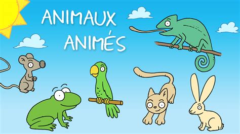 Les animaux animés Hry Déčko Česká televize