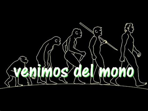 Los Humanos Venimos Del Mono YouTube