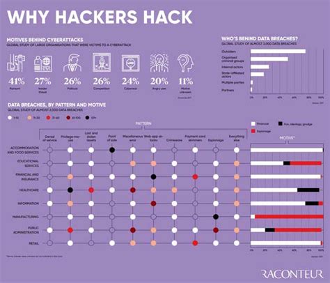 Why Hackers Hack [infographic] Best Infographics