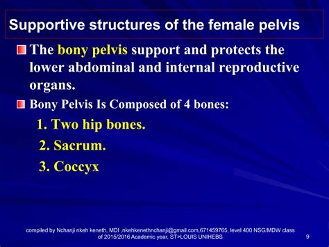 Anatomy and physiology of the female pelvic organs | PPT | Free Download