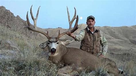 Texas Mule Deer Brownwood News