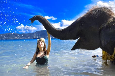 Elephant Swims @ Lucky Beach, Tri Trang – The original & best natural experience!