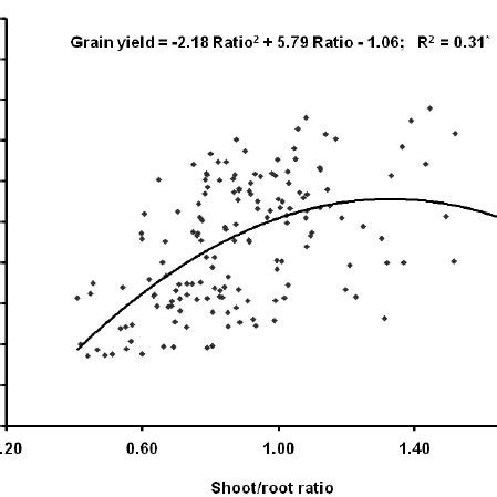 Relationship Between Grain Yield Per Plant And Shoot Root Ratio Each