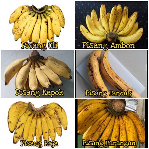 Jual Pisang Raja Serehulipisang Kepokpisang Baranganpisang Tanduk