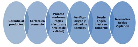 7 Sistema de certificación de semillas SAG