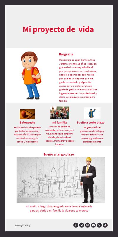 Infografia Proyecto De Vida 4 Proyecto De Vida Y Nbkomputer