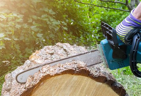 Best 18 Inch Chainsaw Chains Worth Your Investment - The Forestry Pros