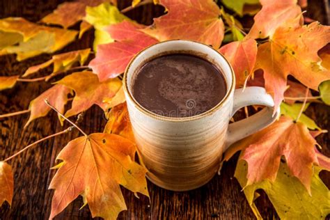 Hot Chocolate In The Fall Stock Image Image Of Color 46664429