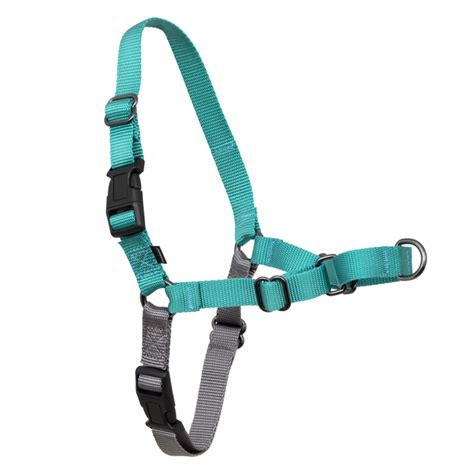 Easy Walk Harness Teal Comprar En Busmark