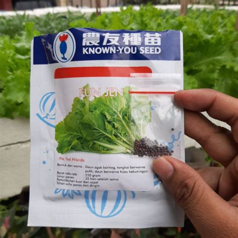 Jual Bibit Benih Samhong Pat Tsai Known You Seed Kemasan Repack