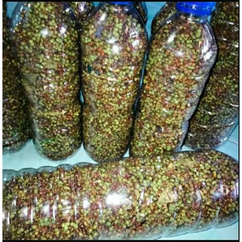 Jual Andaliman Segar Bumbu Khas Tanah Batak Shopee Indonesia