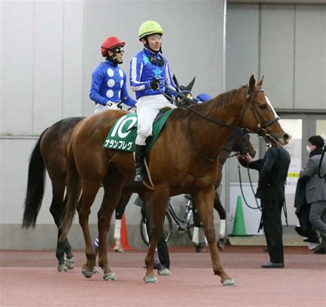 ＜中京11r・シルクロードs＞3着に入ったナランフレグ（撮影・亀井 直樹） ― スポニチ Sponichi Annex ギャンブル