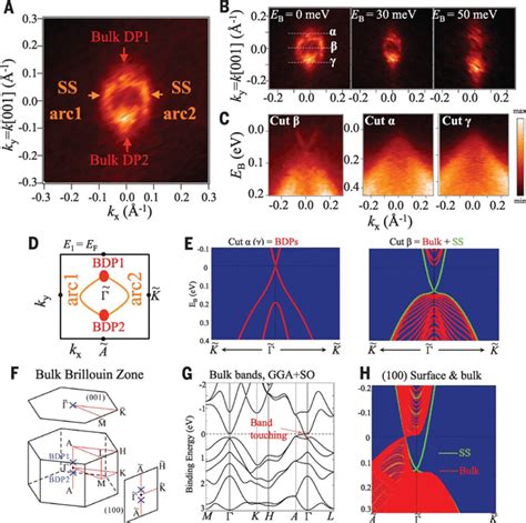 Observation Of Fermi Arc Surface States In A Topological Metal Science