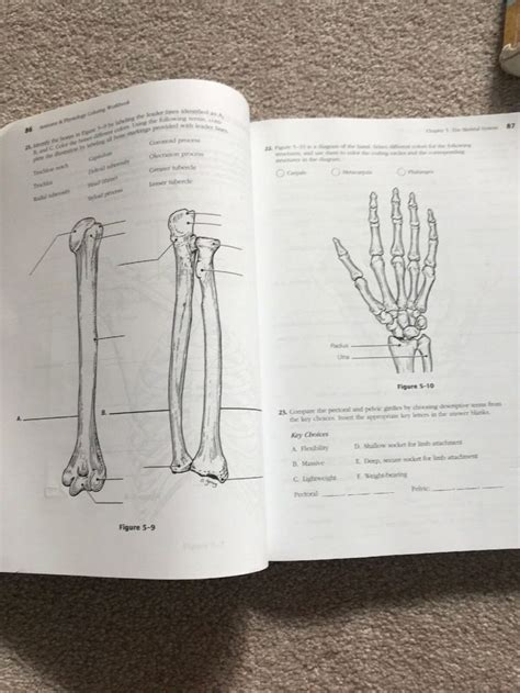 Exploring The Chapter 8 Special Senses Anatomy And Physiology Coloring