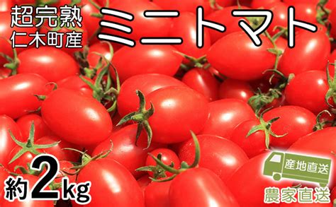 超完熟ミニトマト【アイコ】お試し2kg（1kg×2箱） 北海道仁木町 セゾンのふるさと納税