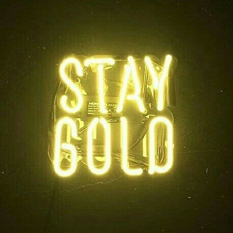 Stay Gold Yellow Gold Neon F F Colors L L Followback Sfondo