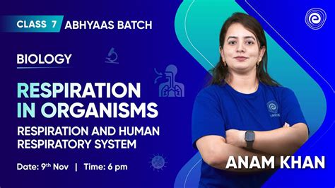 Respiration In Organisms Respiration And Human Respiratory System Class 7 Science Anam