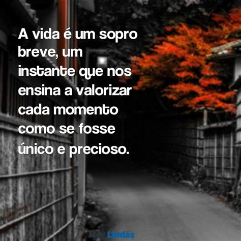 A Vida É Um Sopro Reflexão - Mensagens de Reflexão: A Vida é um Sopro - Inspire-se e Reflita - Msg ...