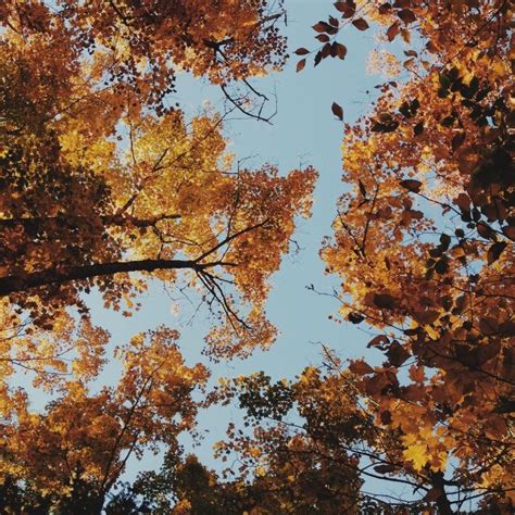 Autumn Justin Lortie Vsco Grid™ Autumn Photography Autumn