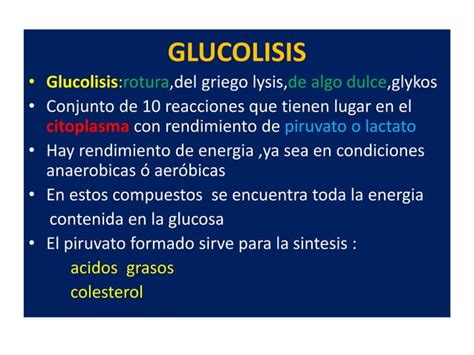 Carbohidratos Glucolisis Ppt