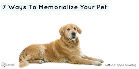 Ways To Memorialize Your Pet Softspot