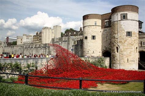 Poppy Day in London