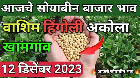 12 12 2023 soybean bazar bhav today washim akola आजच सयबन बजर