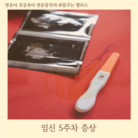 임신 5주차 증상 배 통증 피비침 입덧 없음 무증상 네이버 블로그