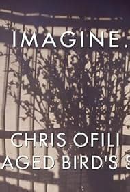 Imagine Chris Ofili The Caged Bird S Song TV Episode 2017 IMDb