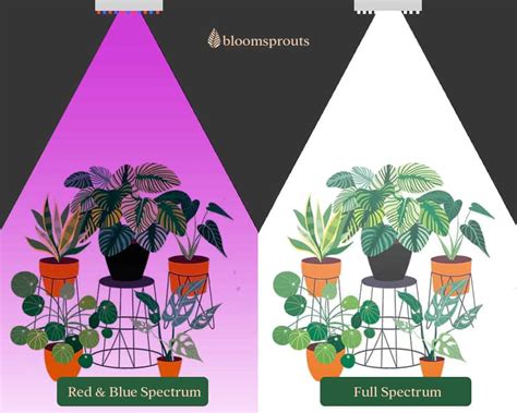 Grow Lights For Houseplants 101 Things To Know Before Buying