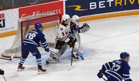 Coach K Earns First Win For Icedogs Bp Sports Niagara