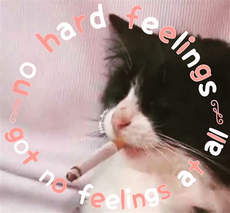 Hungry Horny Lonely Suicidal They Re All The Same R Foreverbox