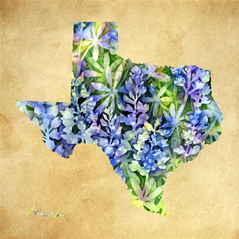 Bluebonnet Watercolor at GetDrawings | Free download