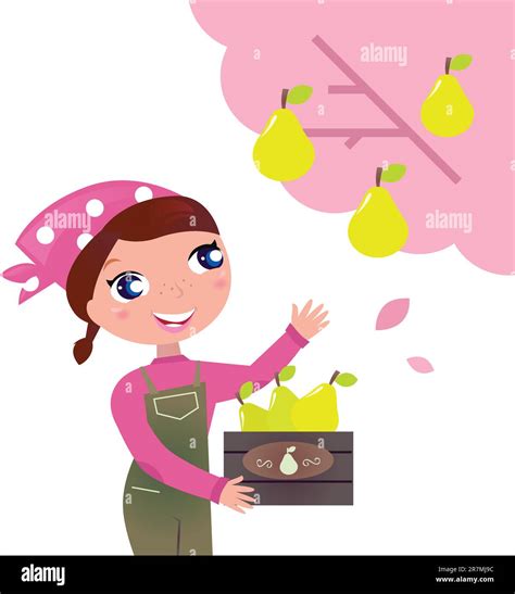 Women Picking Fruit Stock Vector Images Alamy