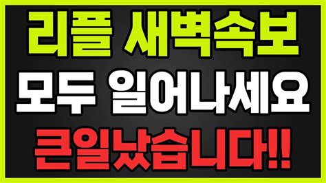 리플 지금 주무실 때가 아니에요 진짜 중요한 내용입니다 잠깐만 집중하세요 리플속보 리플 리플코인 Youtube