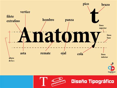 Anatomía de la tipografía