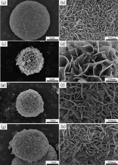 Film Morphology Field Emission Scanning Electron Microscope Fe Sem