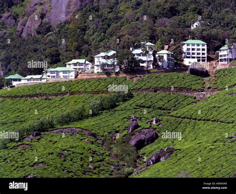 CLUB MAHINDRA RESORT IN MUNNAR KERALA Stock Photo - Alamy