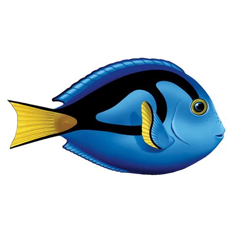 Blue Tang Pool Mosaic X Dessin Poisson Coloriage Poisson