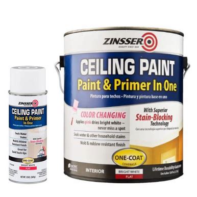 Zinsser Ceiling Paint and Primer (Assorted Sizes) | Selffix DIY