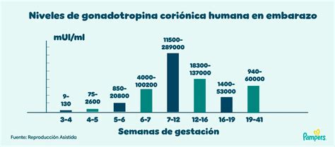 La hormona del embarazo hCG: descripción de niveles | Pampers® Chile