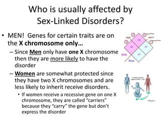 Sex Linked Inheritance And Pedigree Analysis Ppt