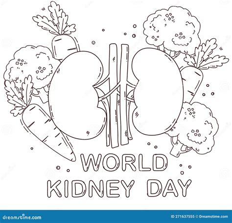 Vector Hand Drawn Cartoon Kidney Illustration Stock Vector