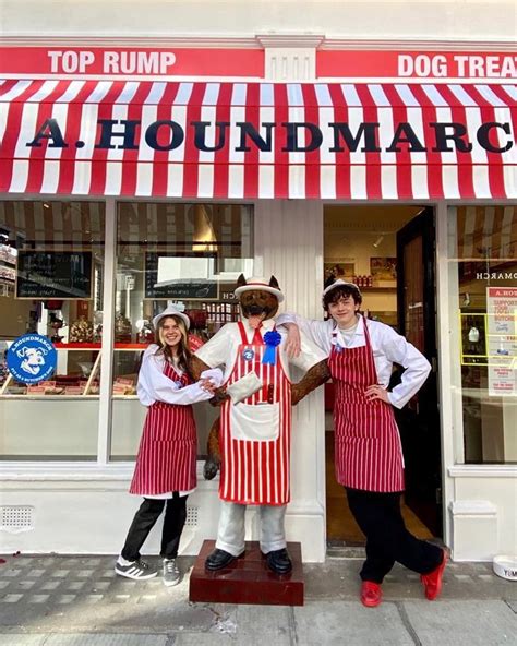 The surprising cat urns market growth among millennial pet parents 1