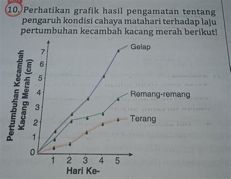 Hasil Pengamatan Pertumbuhan Dan Perkembangan Kacang Merah Fblalaf