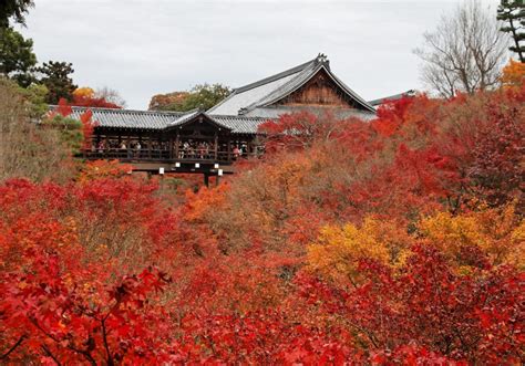 10 Best Places To See Autumn Leaves In Kyoto 2024 Japan Wonder Travel