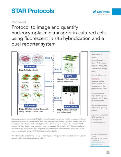 Pdf Protocol To Image And Quantify Nucleocytoplasmic Transport In