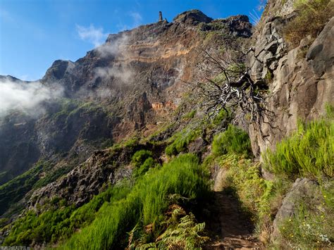 G Ry Na Maderze Trekking Na Pico Ruivo Zdj Cia Foto Galeria